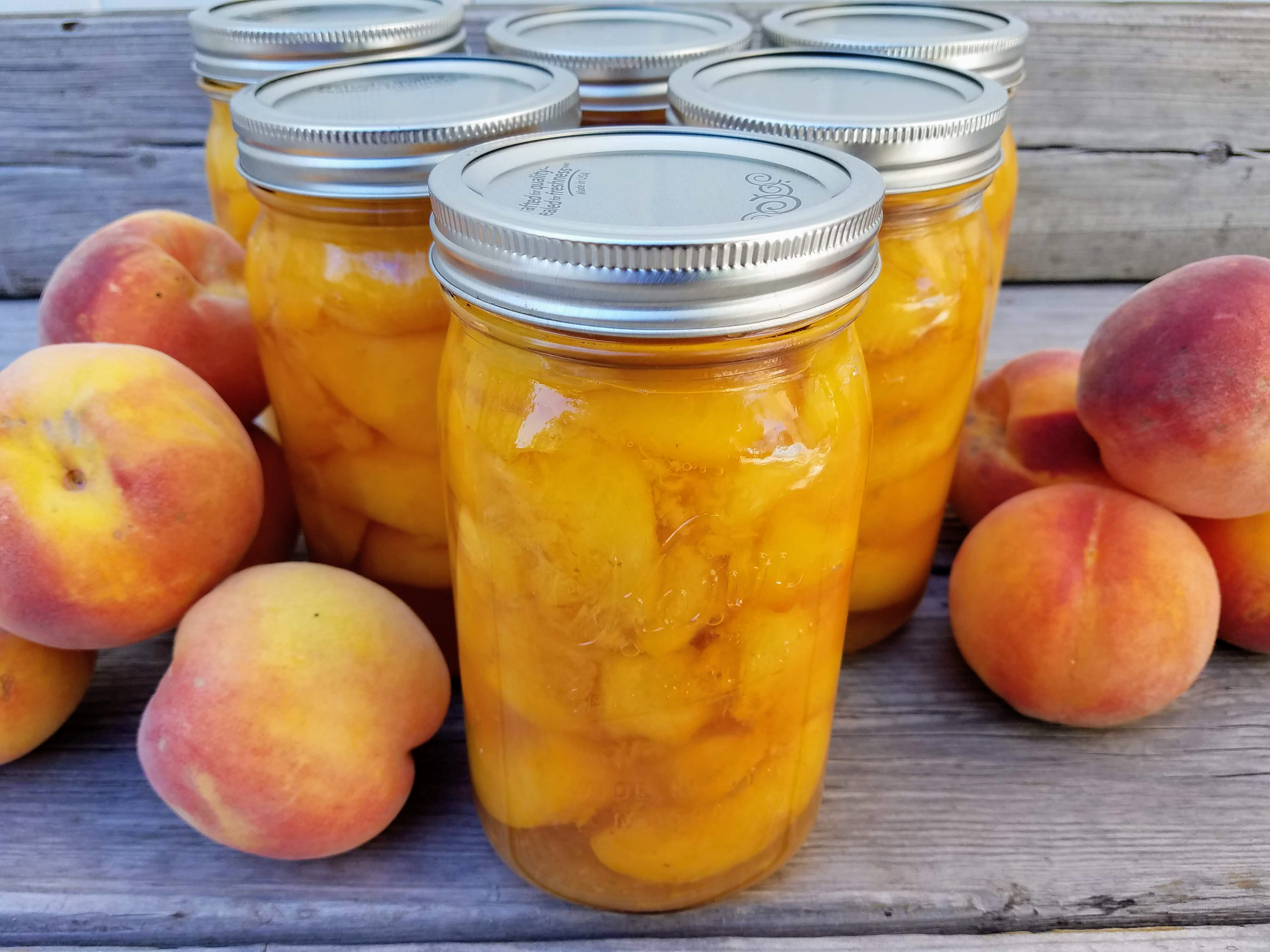 Canned Peaches